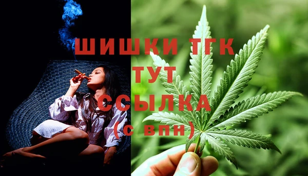 СК Краснослободск