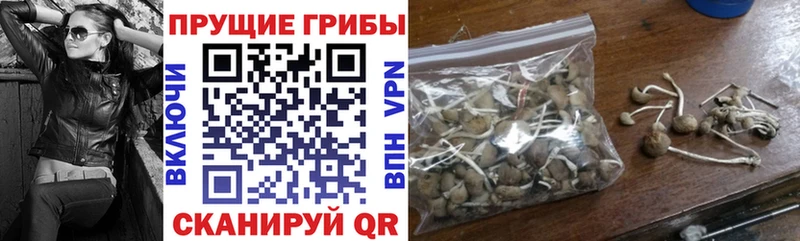 Купить закладки  Дудинка  Псилоцибиновые грибы Magic Shrooms 